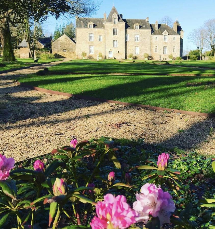 Chateau De Cadouzan Saint-Dolay Экстерьер фото